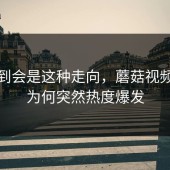 没想到会是这种走向，蘑菇视频下载为何突然热度爆发